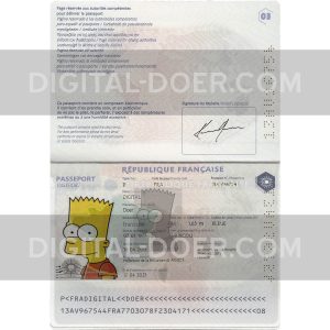 France Passport Template PSD