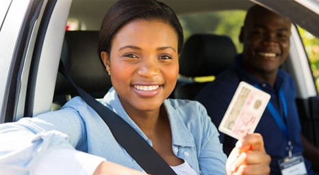Driving licence editable psd templates